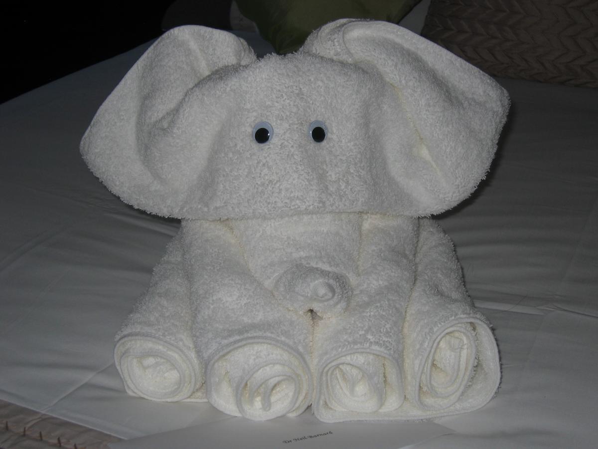 Caxton Manor B&B Cape Town Eksteriør bilde